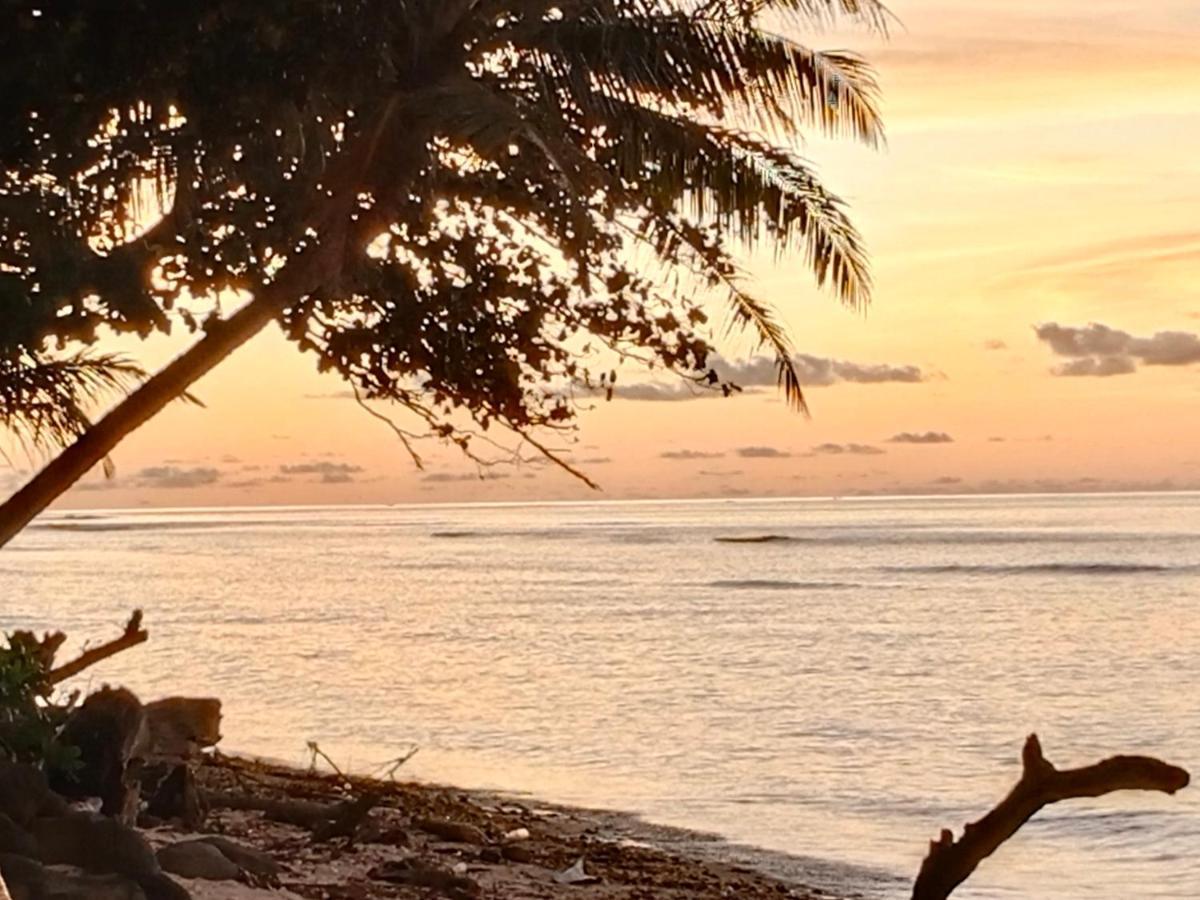 Rumah Nalu Surf Camp Krui Bagian luar foto