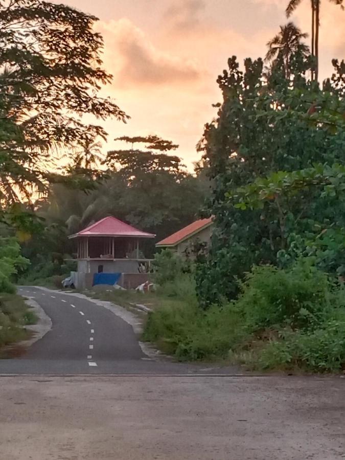 Rumah Nalu Surf Camp Krui Bagian luar foto
