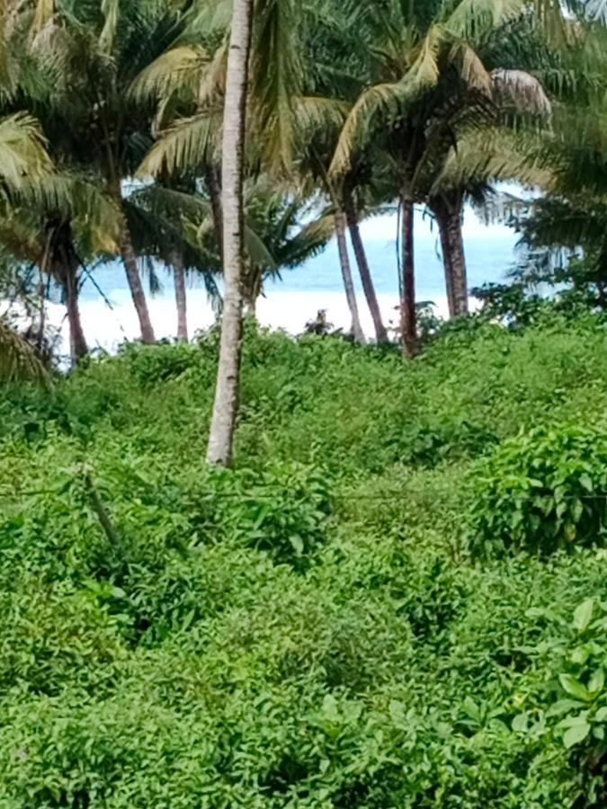 Rumah Nalu Surf Camp Krui Bagian luar foto